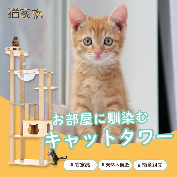 制作実績